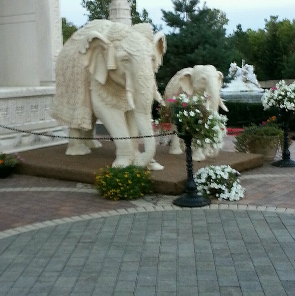 Meet your Posher, Kieran - Picture 1 of 1